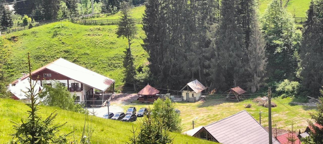 Pensiunea Trei Brazi Arieşeni Extérieur photo